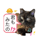 黒猫 ルナ院長143にゃんめ（個別スタンプ：6）