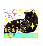 黒猫 ルナ院長143にゃんめ（個別スタンプ：8）