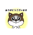 ゆるっと可愛いチワワスタンプ♩（個別スタンプ：6）