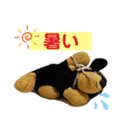 ぽりちゃんスタンプ第4弾（個別スタンプ：7）