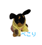 ぽりちゃんスタンプ第4弾（個別スタンプ：13）