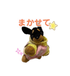 ぽりちゃんスタンプ第4弾（個別スタンプ：19）