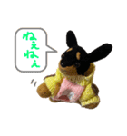 ぽりちゃんスタンプ第4弾（個別スタンプ：20）