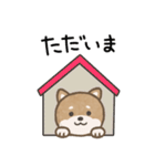 柴犬くんの日常あいさつスタンプ（個別スタンプ：10）