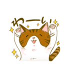 しまみけゾエ子（個別スタンプ：27）