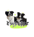 あおうなFamily♡（個別スタンプ：3）