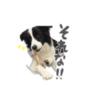 あおうなFamily♡（個別スタンプ：9）