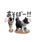 あおうなFamily♡（個別スタンプ：14）