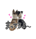 あおうなFamily♡（個別スタンプ：15）