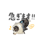 あおうなFamily♡（個別スタンプ：21）