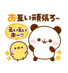 ころころパンダ♡大人の優しい敬語（個別スタンプ：9）