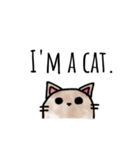 I'm a CAT  ！（個別スタンプ：24）