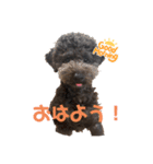 コナさんだよ（個別スタンプ：1）