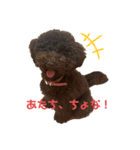 コナさんだよ（個別スタンプ：3）