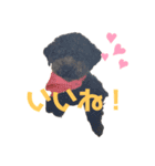 コナさんだよ（個別スタンプ：8）