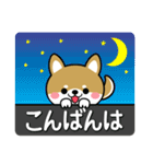 敬語スタンプ♡豆柴・柴犬（個別スタンプ：4）