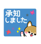 敬語スタンプ♡豆柴・柴犬（個別スタンプ：7）