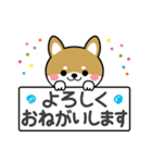 敬語スタンプ♡豆柴・柴犬（個別スタンプ：16）