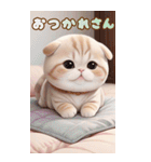 スコティッシュ猫クッションBIG 関西弁ver.（個別スタンプ：5）