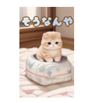 スコティッシュ猫クッションBIG 関西弁ver.（個別スタンプ：13）
