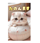 スコティッシュ猫クッションBIG 関西弁ver.（個別スタンプ：21）