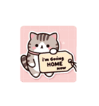 ふだねこ2（個別スタンプ：3）