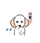 トイプードルのエイト！（個別スタンプ：7）