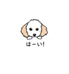 トイプードルのエイト！（個別スタンプ：8）