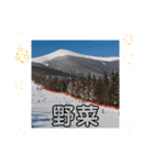 横浜神奈川区大口駅で買う日用品冬レジャー（個別スタンプ：6）