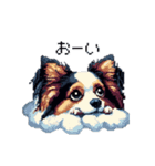 ドット絵 パピヨン 定番（個別スタンプ：20）