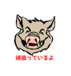 「笑う動物たち」（個別スタンプ：11）