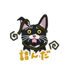 ひげねこ とろろさん（個別スタンプ：11）