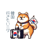 韓国語しゃべる柴犬【かわいい・日常会話】（個別スタンプ：15）