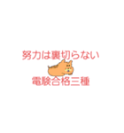 応援‼️電験合格 三種（個別スタンプ：3）