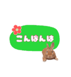 うさぎのいち君♪日常あいさつ（個別スタンプ：2）