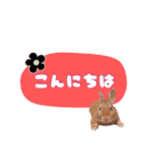 うさぎのいち君♪日常あいさつ（個別スタンプ：3）