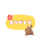 うさぎのいち君♪日常あいさつ（個別スタンプ：4）