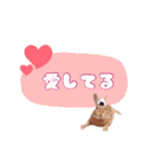 うさぎのいち君♪日常あいさつ（個別スタンプ：7）
