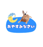 うさぎのいち君♪日常あいさつ（個別スタンプ：8）