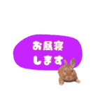 うさぎのいち君♪日常あいさつ（個別スタンプ：10）