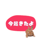 うさぎのいち君♪日常あいさつ（個別スタンプ：11）