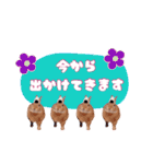 うさぎのいち君♪日常あいさつ（個別スタンプ：13）