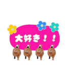 うさぎのいち君♪日常あいさつ（個別スタンプ：15）