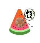 うさぎのいち君♪日常あいさつ（個別スタンプ：26）