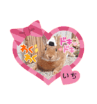 うさぎのいち君♪日常あいさつ（個別スタンプ：32）