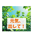 春に使いやすい背景の多くが桜になってるよ（個別スタンプ：3）