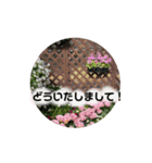 Flower’s  stamp 2（個別スタンプ：7）