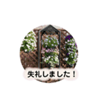 Flower’s  stamp 2（個別スタンプ：8）