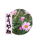 Flower’s  stamp 2（個別スタンプ：11）