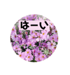 Flower’s  stamp 2（個別スタンプ：14）